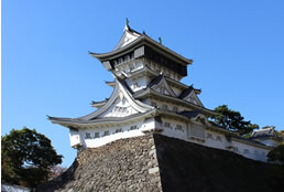 加齢性黄斑変性症